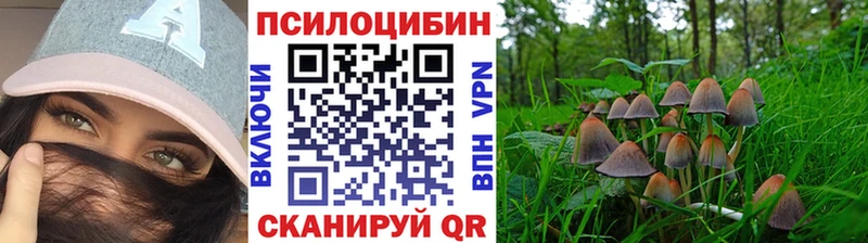 Галлюциногенные грибы Magic Shrooms  Купить  Балашиха 